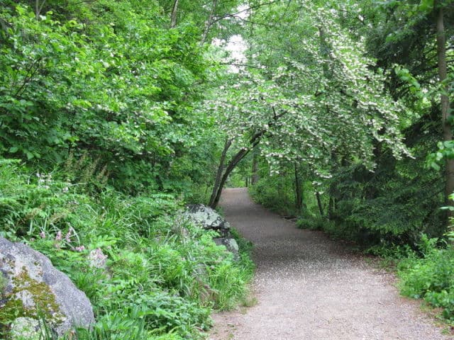 exploreasheville.com exploreasheville.com