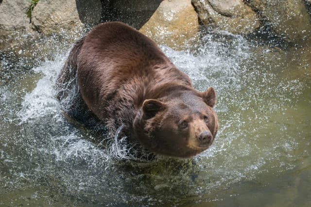 exploreasheville.com exploreasheville.com