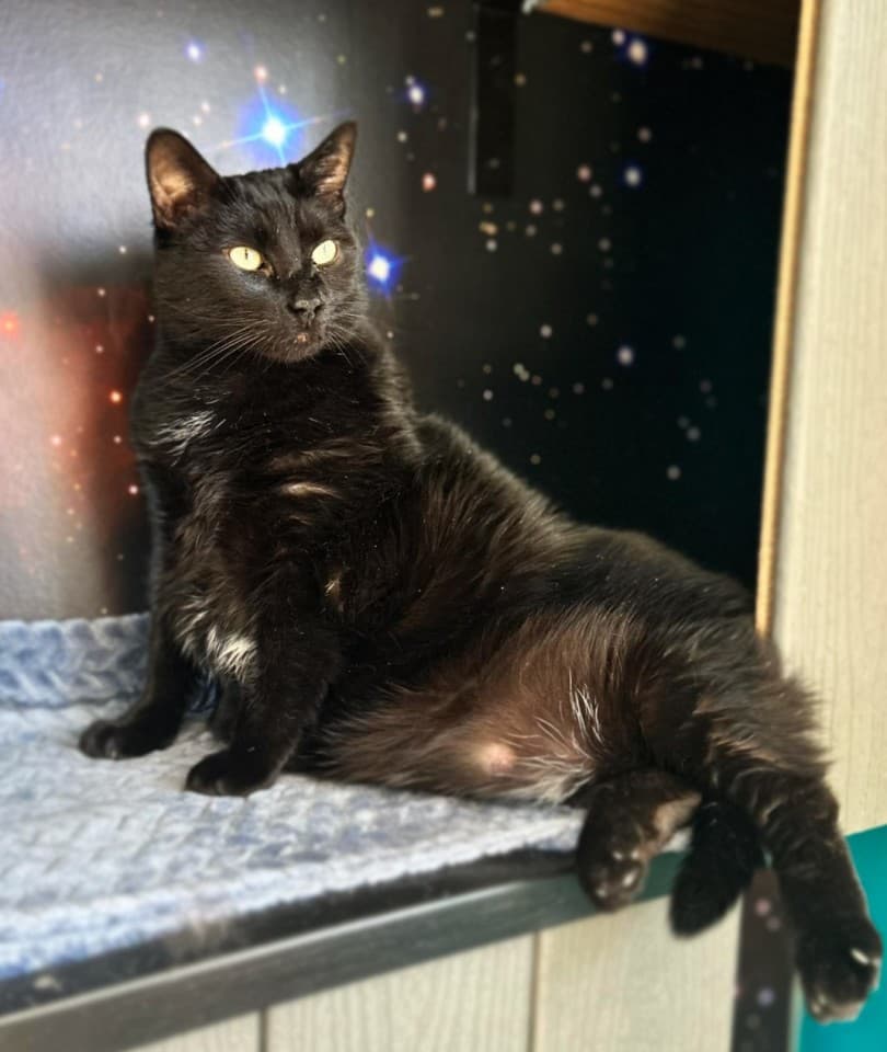 exploreasheville.com exploreasheville.com