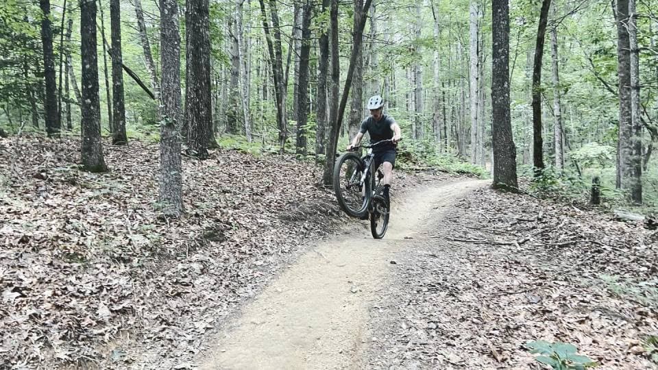 exploreasheville.com exploreasheville.com