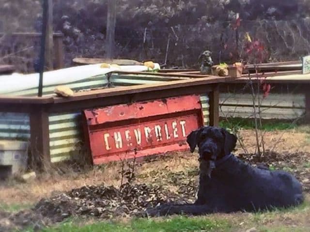 exploreasheville.com exploreasheville.com