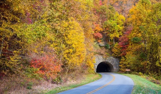 exploreasheville.com exploreasheville.com