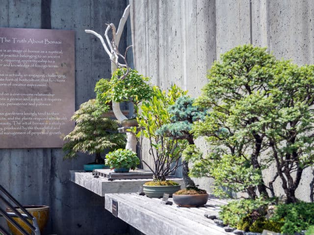 exploreasheville.com exploreasheville.com