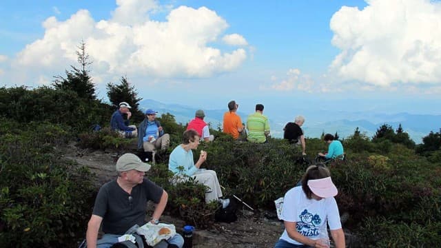 exploreasheville.com exploreasheville.com