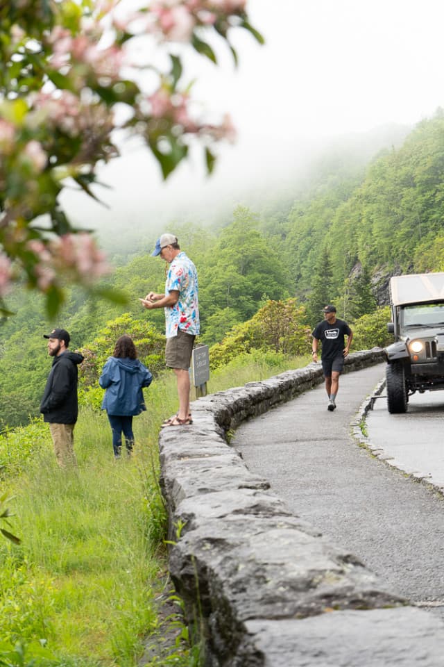 exploreasheville.com exploreasheville.com