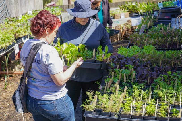 exploreasheville.com exploreasheville.com