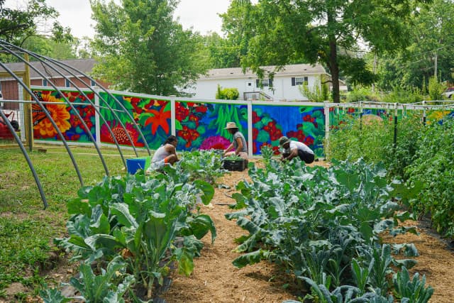 exploreasheville.com exploreasheville.com