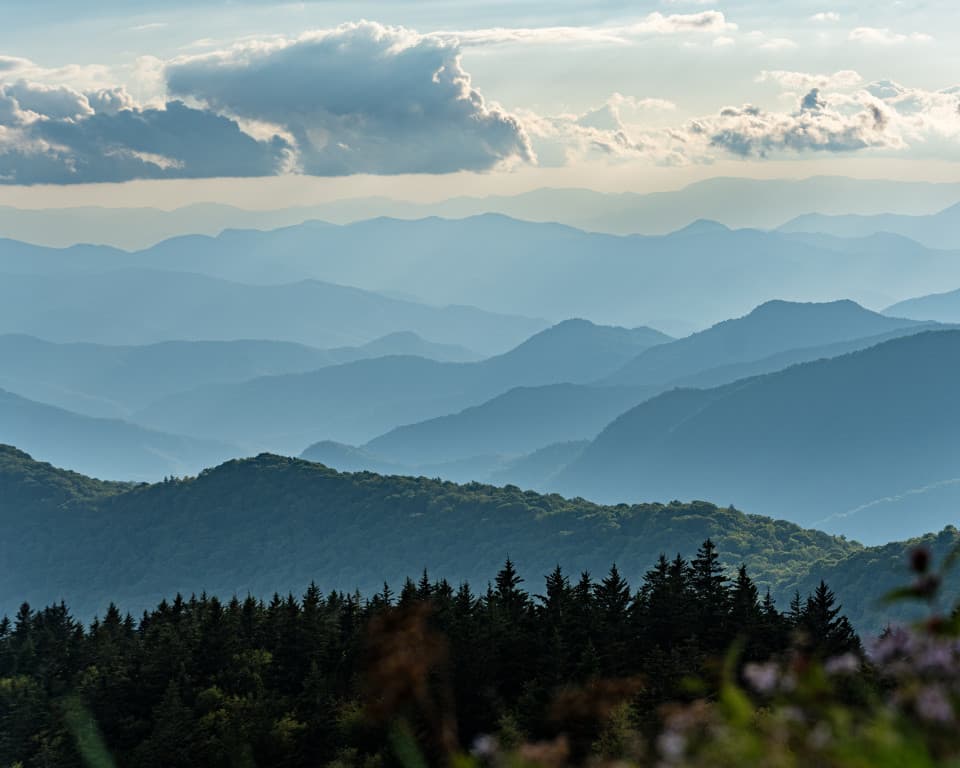 exploreasheville.com exploreasheville.com