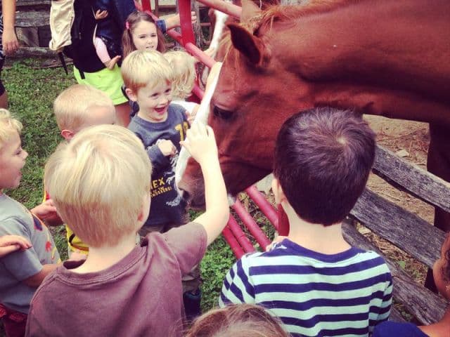 exploreasheville.com exploreasheville.com