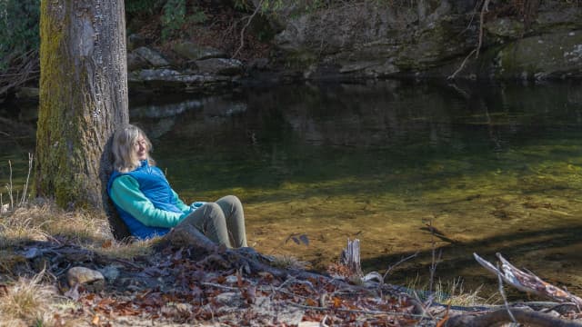 exploreasheville.com exploreasheville.com