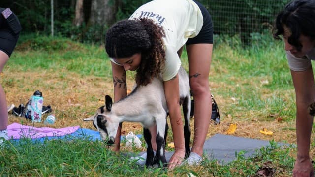 exploreasheville.com exploreasheville.com