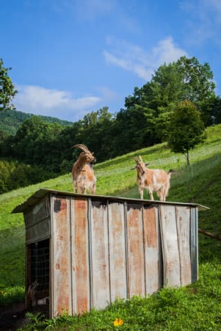 exploreasheville.com exploreasheville.com