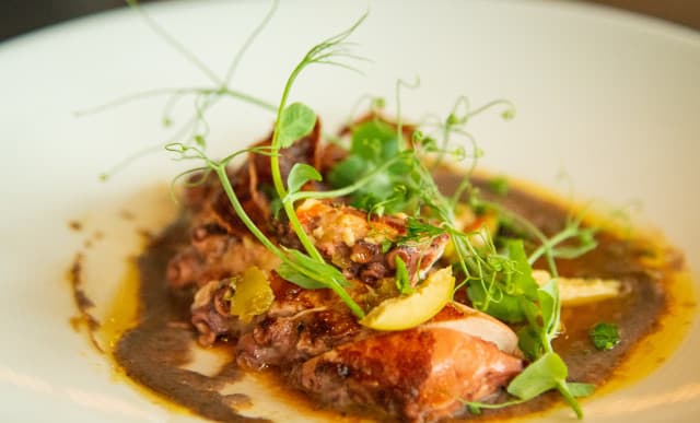 exploreasheville.com exploreasheville.com