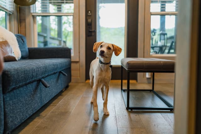 exploreasheville.com exploreasheville.com