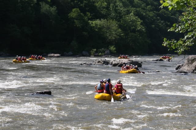 exploreasheville.com exploreasheville.com