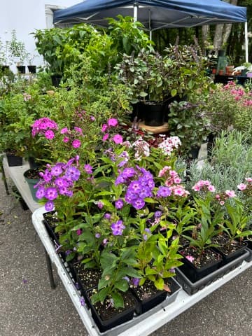 exploreasheville.com exploreasheville.com