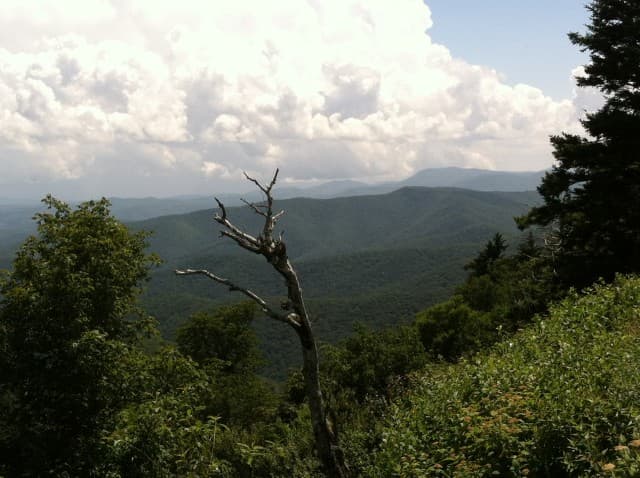 exploreasheville.com exploreasheville.com