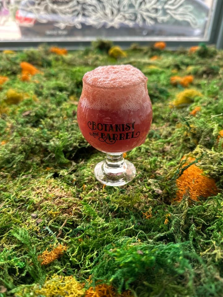 exploreasheville.com exploreasheville.com