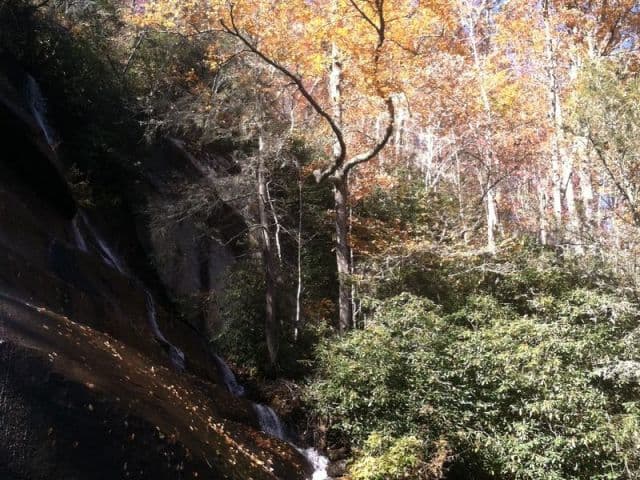 exploreasheville.com exploreasheville.com