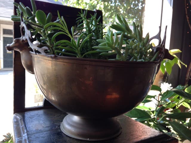 exploreasheville.com exploreasheville.com