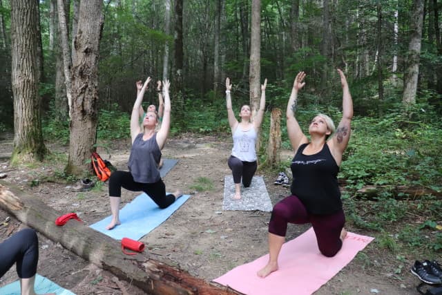 exploreasheville.com exploreasheville.com