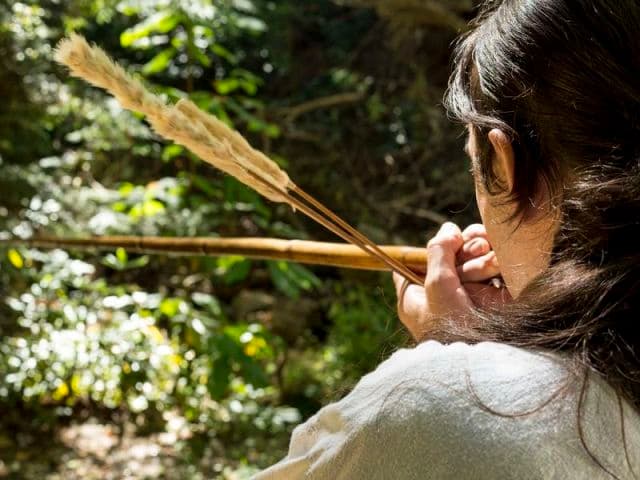 exploreasheville.com exploreasheville.com