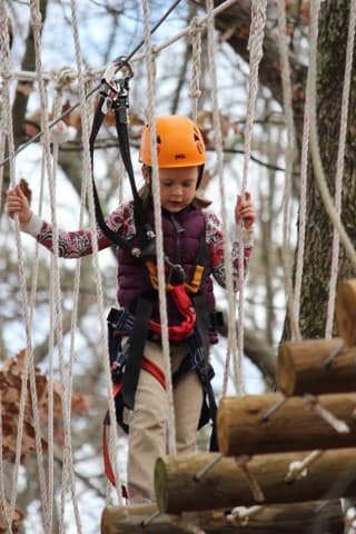 exploreasheville.com exploreasheville.com