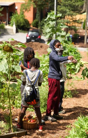 exploreasheville.com exploreasheville.com