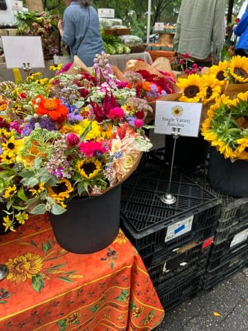 exploreasheville.com exploreasheville.com