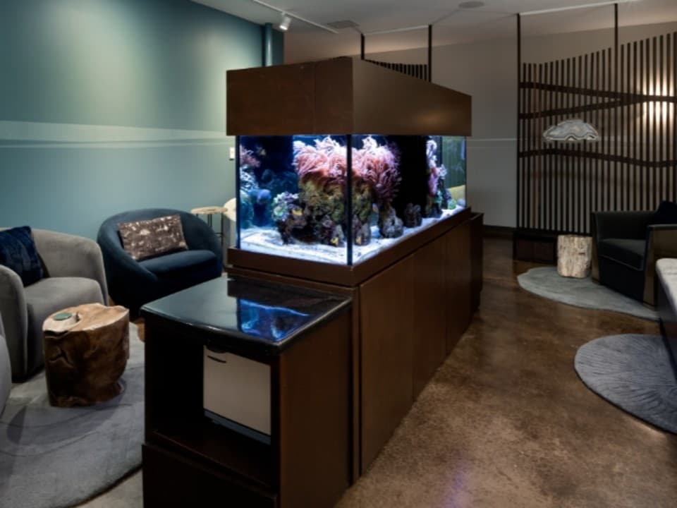 exploreasheville.com exploreasheville.com