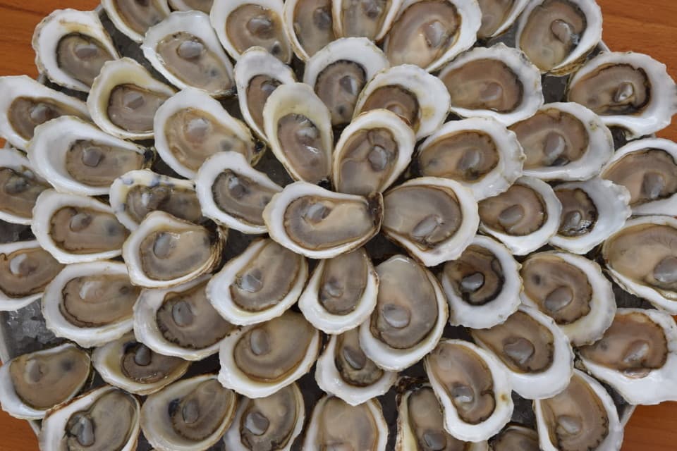 exploreasheville.com exploreasheville.com