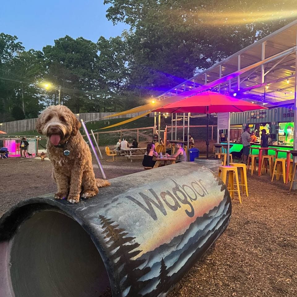 exploreasheville.com exploreasheville.com