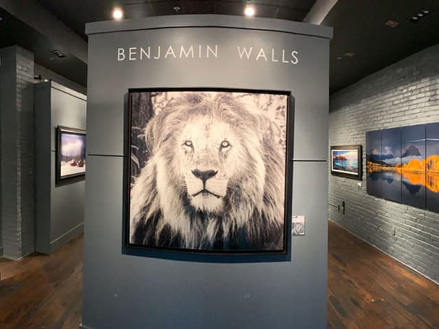 exploreasheville.com exploreasheville.com