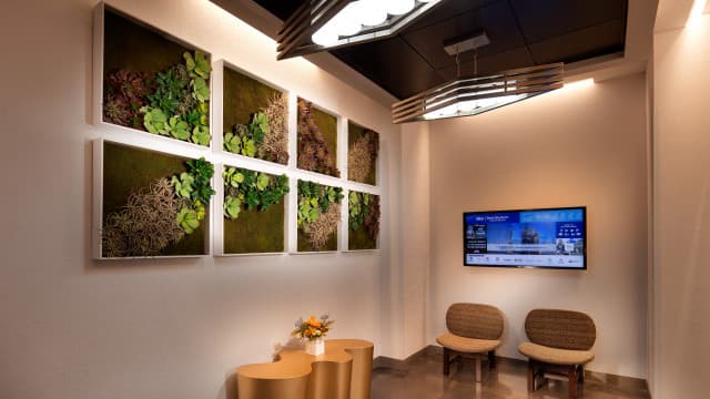 exploreasheville.com exploreasheville.com