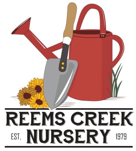 exploreasheville.com exploreasheville.com