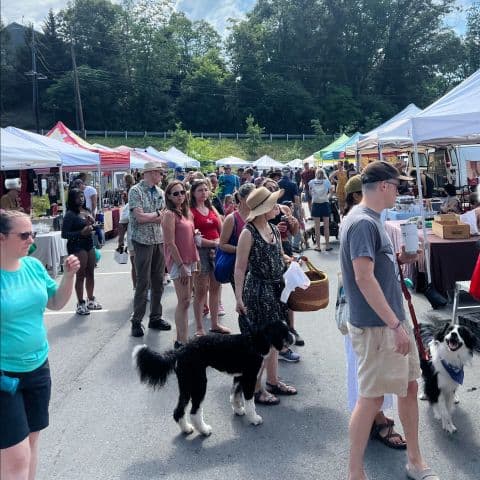 exploreasheville.com exploreasheville.com