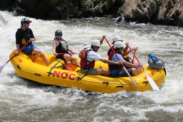 exploreasheville.com exploreasheville.com