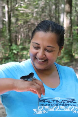 exploreasheville.com exploreasheville.com