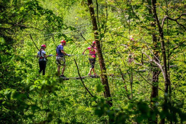 exploreasheville.com exploreasheville.com