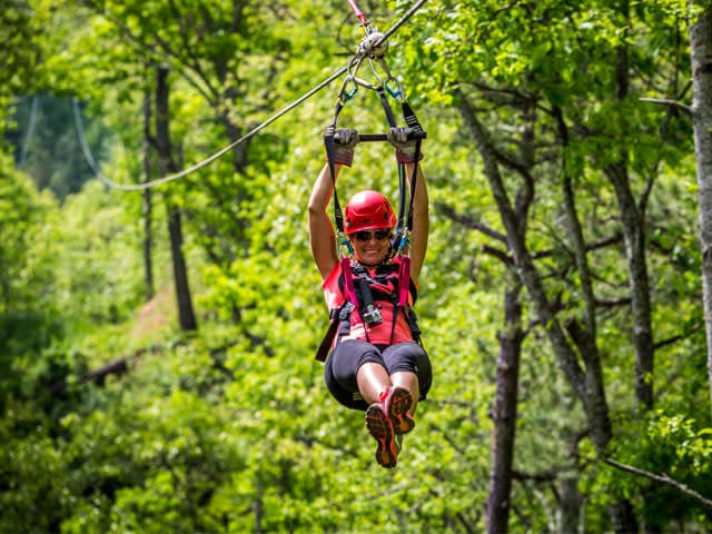 exploreasheville.com exploreasheville.com