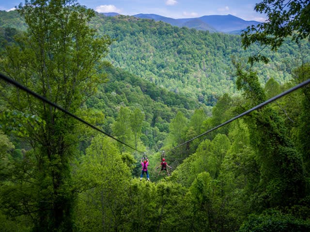 exploreasheville.com exploreasheville.com