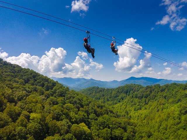 exploreasheville.com exploreasheville.com