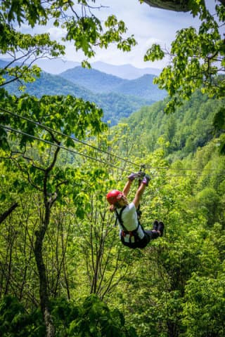 exploreasheville.com exploreasheville.com