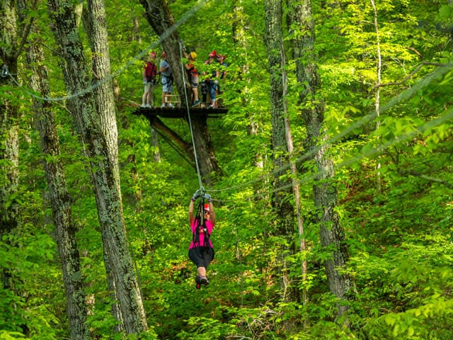 exploreasheville.com exploreasheville.com