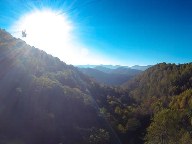 exploreasheville.com exploreasheville.com