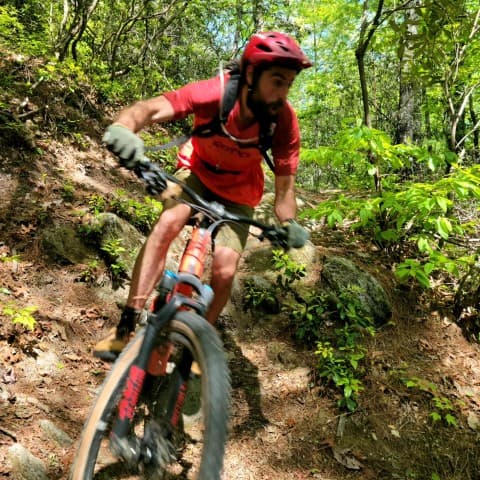 exploreasheville.com exploreasheville.com