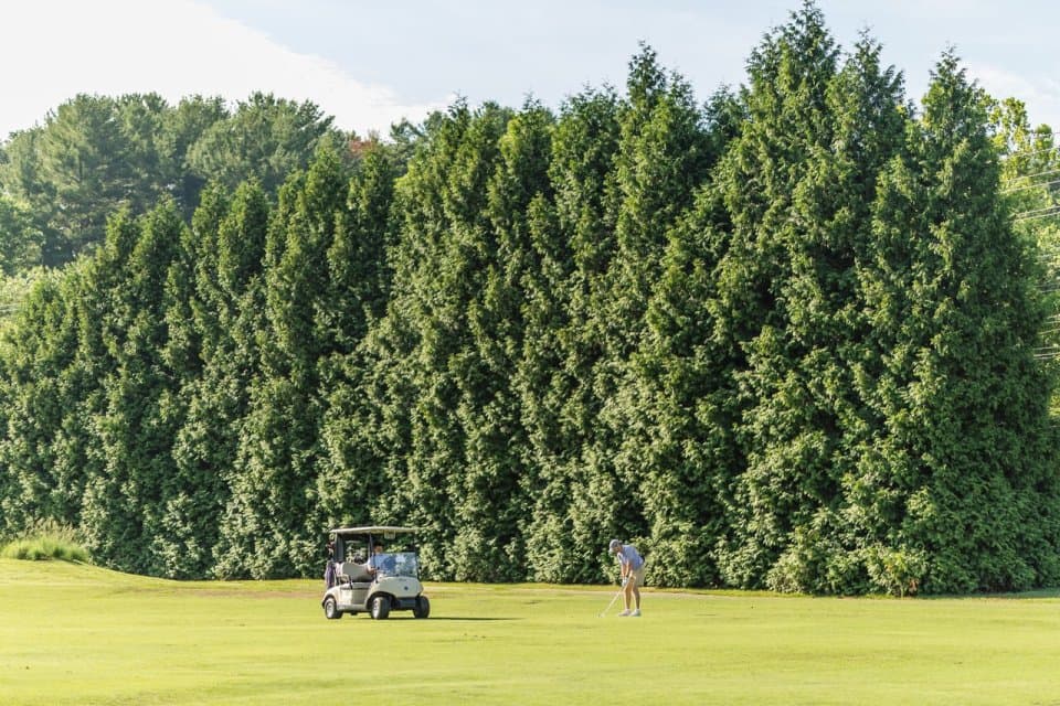 exploreasheville.com exploreasheville.com