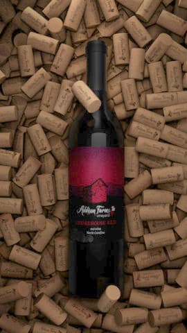 exploreasheville.com exploreasheville.com