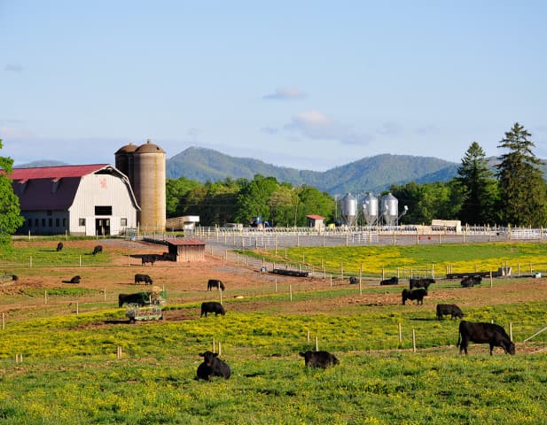 exploreasheville.com exploreasheville.com