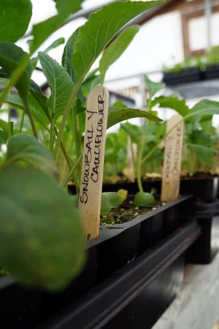 exploreasheville.com exploreasheville.com